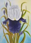 Bob Ross Iris Bob Ross Iris